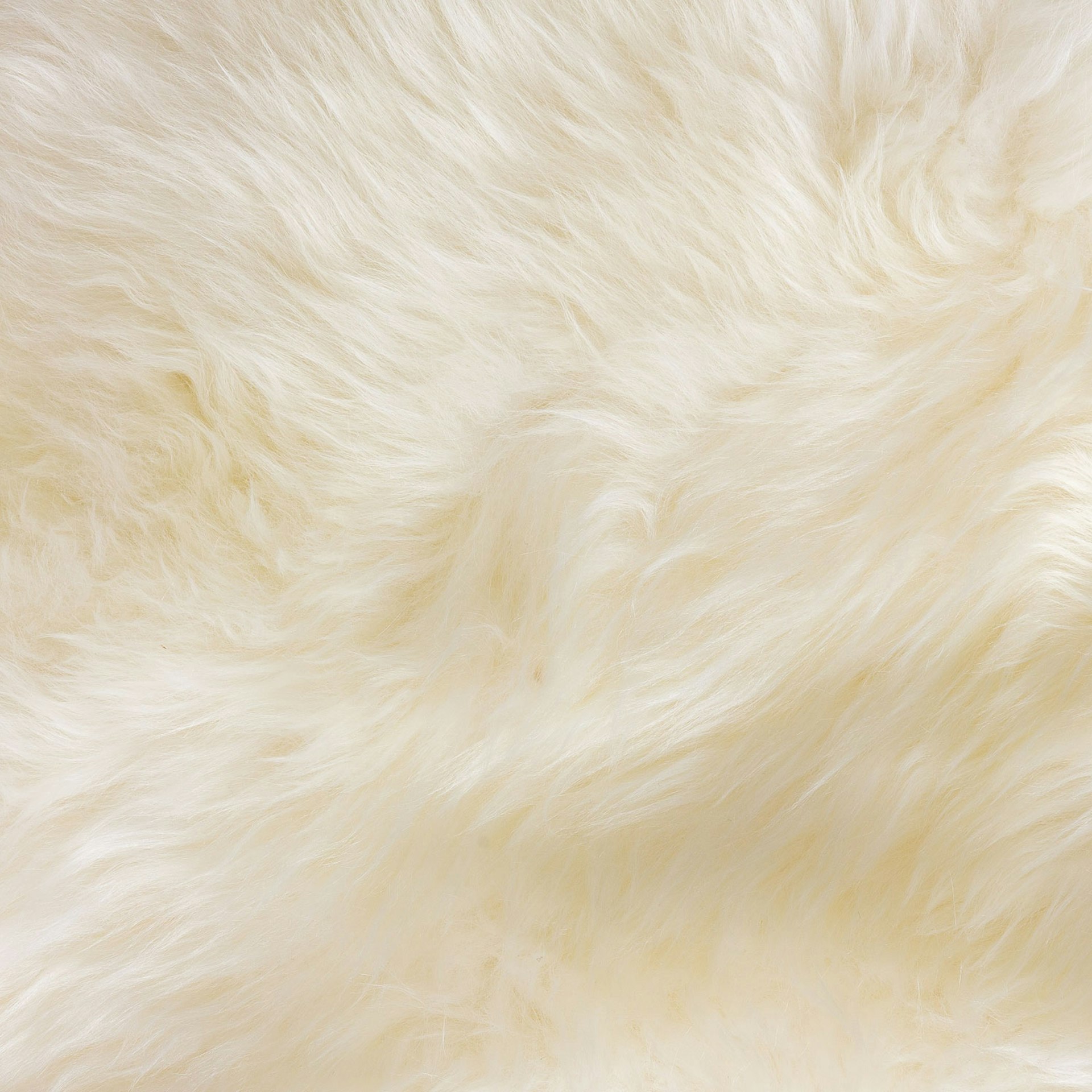 Lanna 2 x 3 Sheepskin Throw - Ivory 9 Lanna 2 x 3 Sheepskin Throw - Ivory