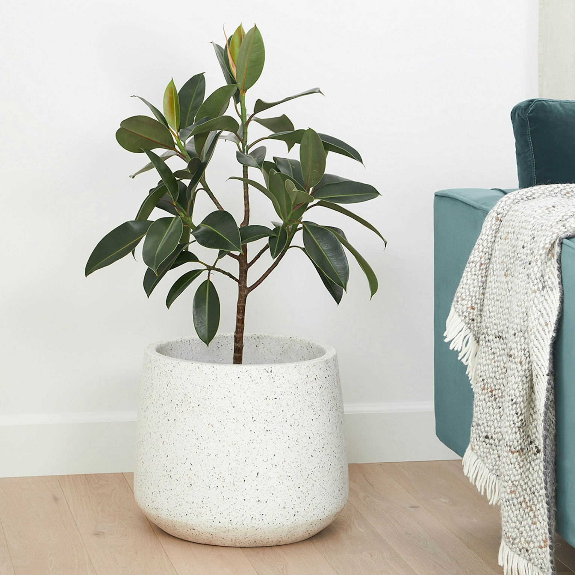 Tuva Indoor/Outdoor Wide Planter - White Terrazzo